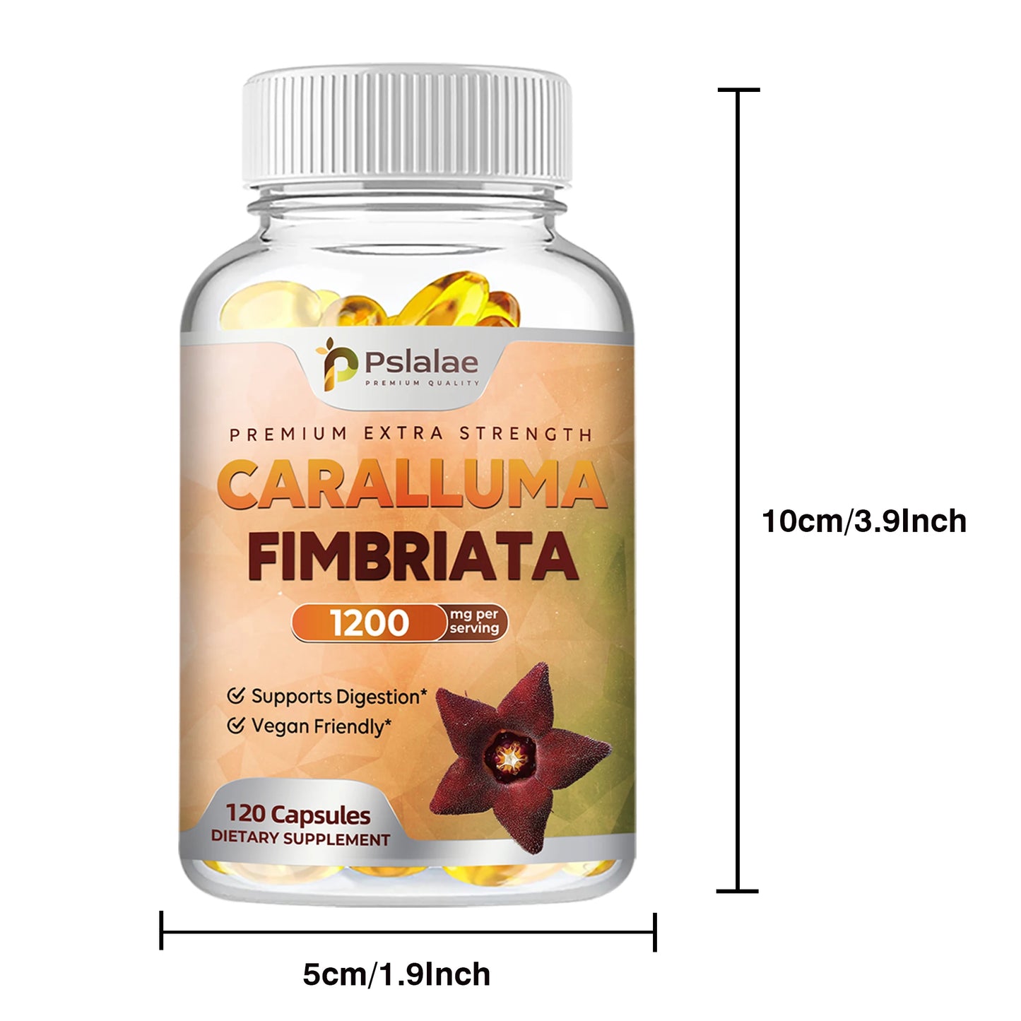 Caralluma Fimbriata Capsules - Improves Endurance, Improves Concentration, Boosts Metabolism, Immune Support - 120 Capsules