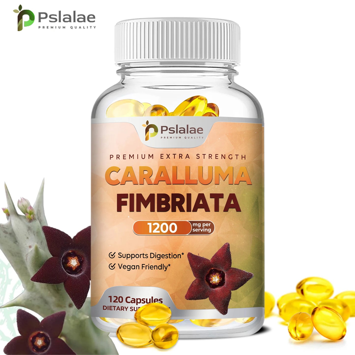 Caralluma Fimbriata Capsules - Improves Endurance, Improves Concentration, Boosts Metabolism, Immune Support - 120 Capsules