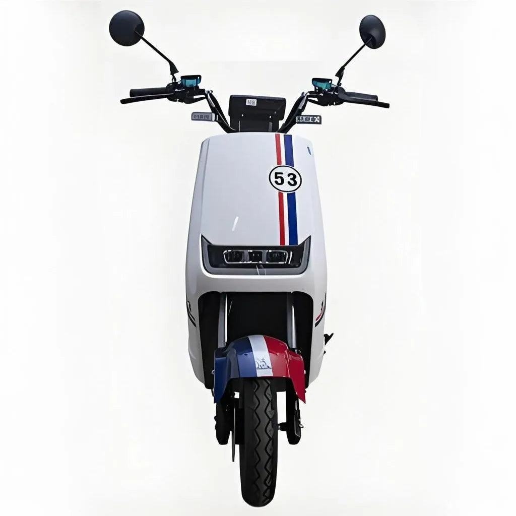 Best Selling 1000w Electric Motorbike with Long Endurance Bikes Motorcycle and Two-Seater Adventure Electric Motorcycles