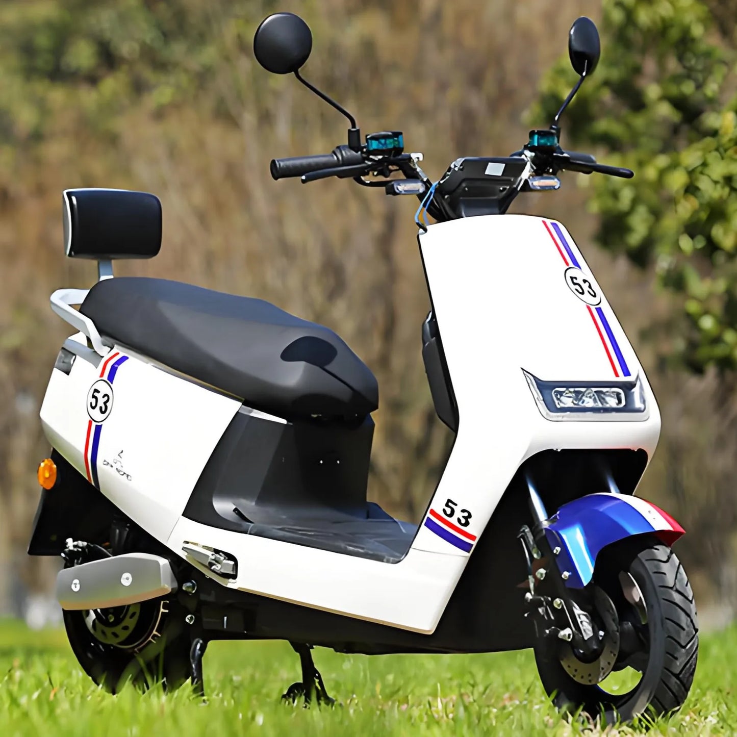 Best Selling 1000w Electric Motorbike with Long Endurance Bikes Motorcycle and Two-Seater Adventure Electric Motorcycles