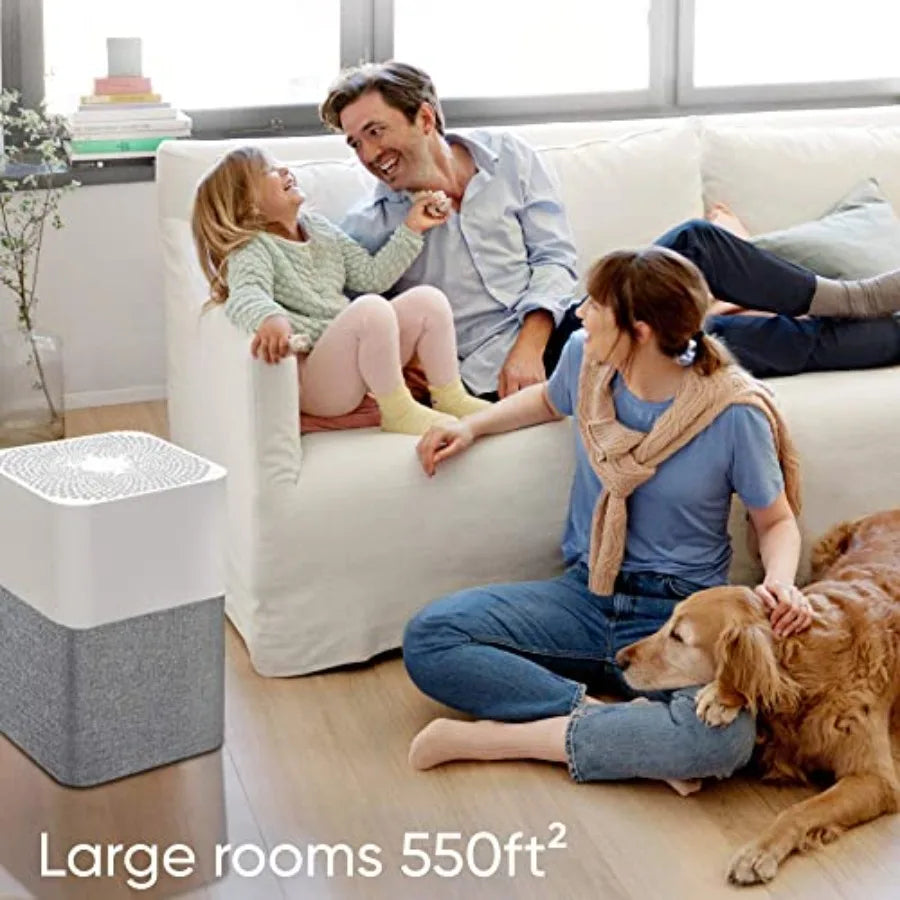 Air Purifier Large Room Air Cleaner for Dust Pet Dander Smoke Mold Pollen Bacteria Virus Allergen Odor Removal for Home Bedroom
