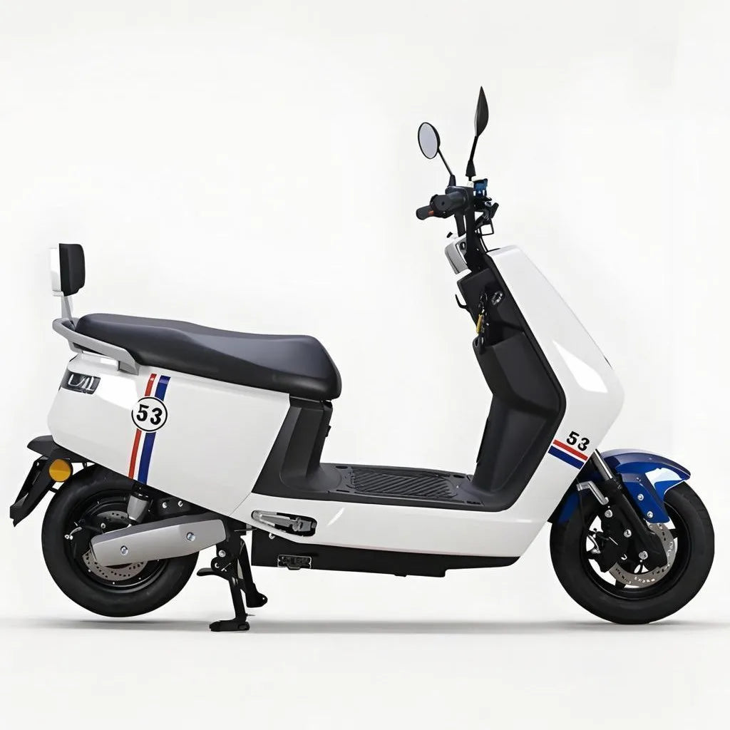 Best Selling 1000w Electric Motorbike with Long Endurance Bikes Motorcycle and Two-Seater Adventure Electric Motorcycles
