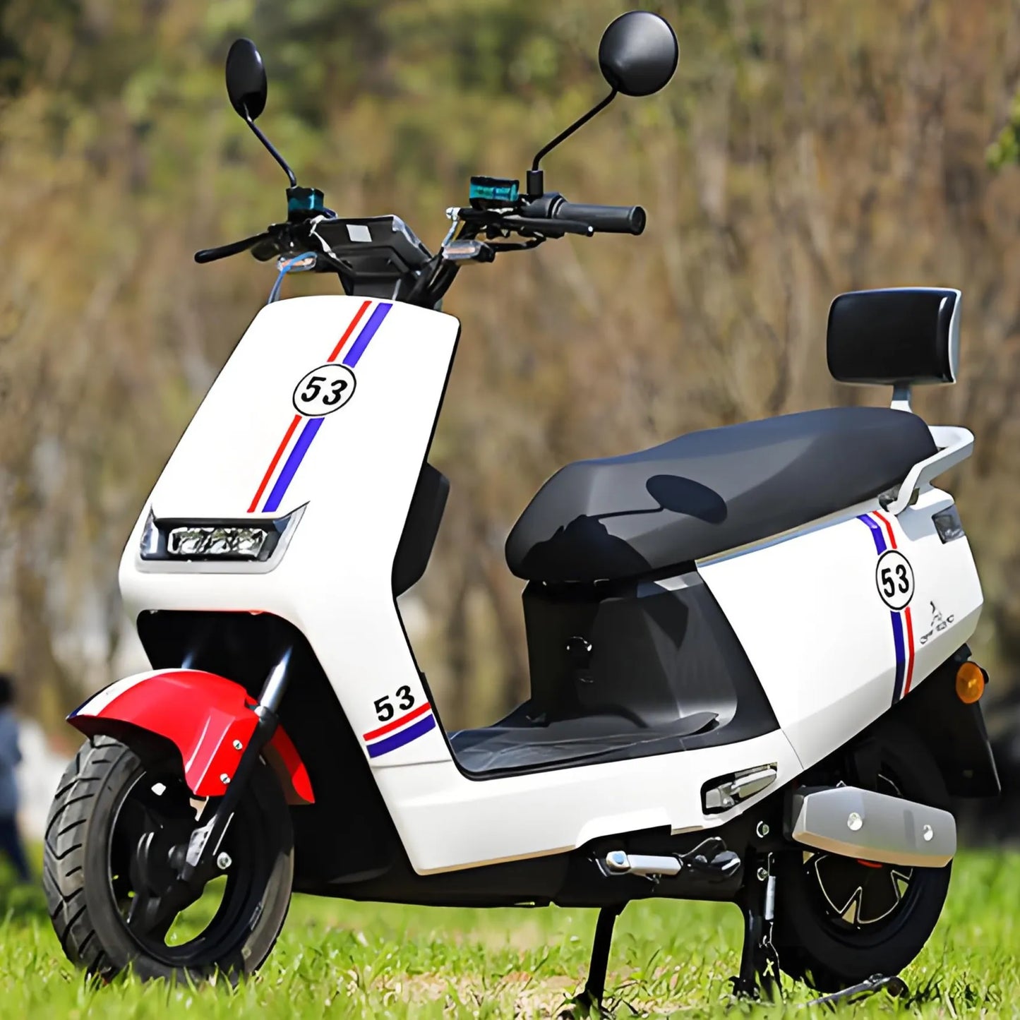 Best Selling 1000w Electric Motorbike with Long Endurance Bikes Motorcycle and Two-Seater Adventure Electric Motorcycles