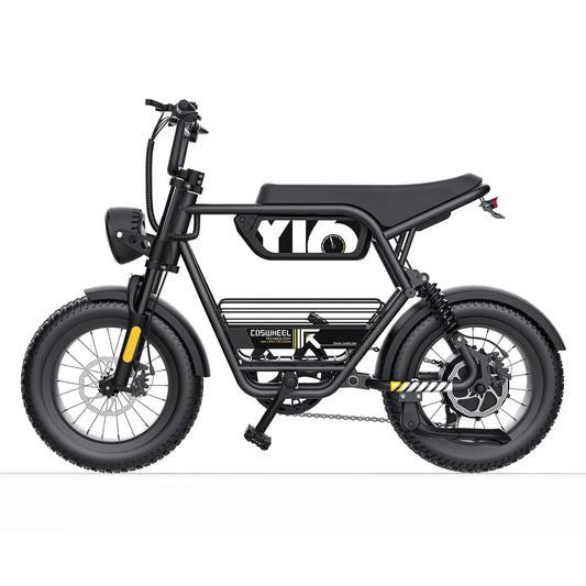 Coswheel Y16 adult E-bike 1000W 48V15Ah battery commute Electric Bike,16-inch Fat Tire E-Mountain bike