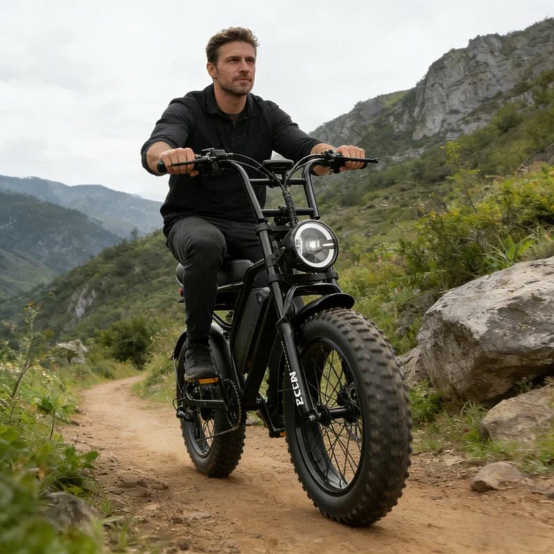 Snow Electric Bicycle 14 20 Inch 1000w 2000w 30-50mph 30-60miles 48v Aluminum Alloy Leading Manufacturer,for Electric Bike