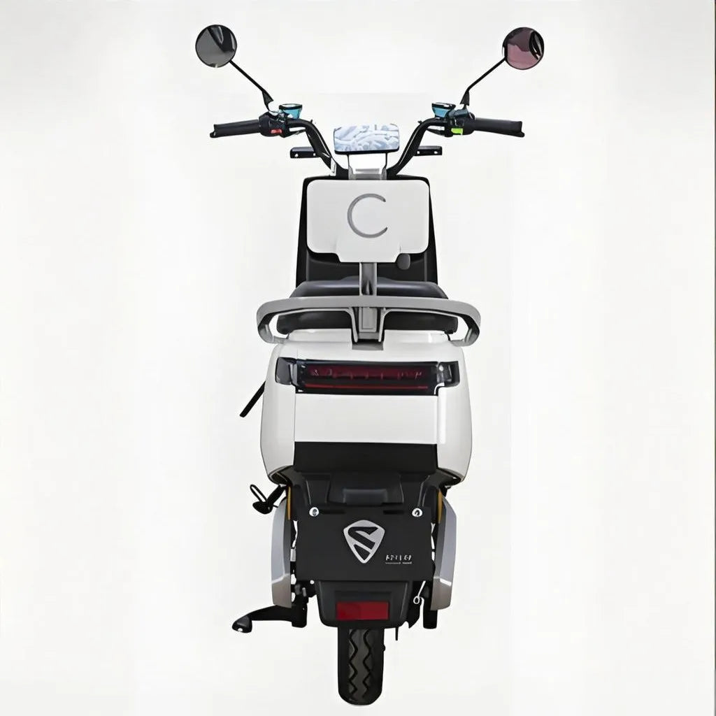 Best Selling 1000w Electric Motorbike with Long Endurance Bikes Motorcycle and Two-Seater Adventure Electric Motorcycles